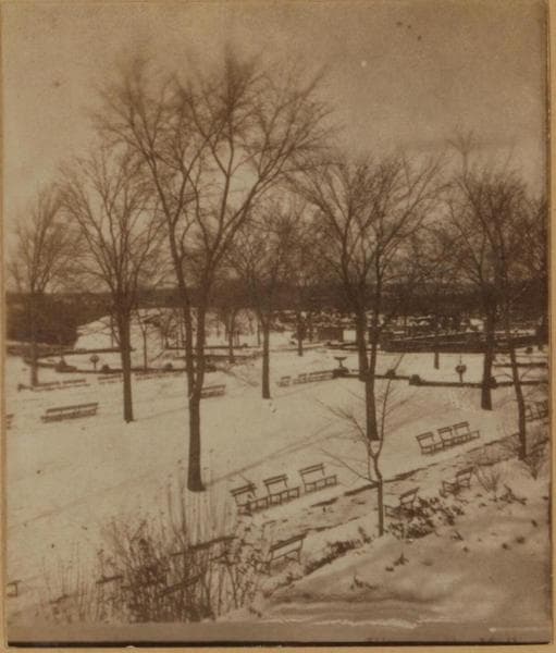 Manhattan: Central Park - The Mall., 1870
