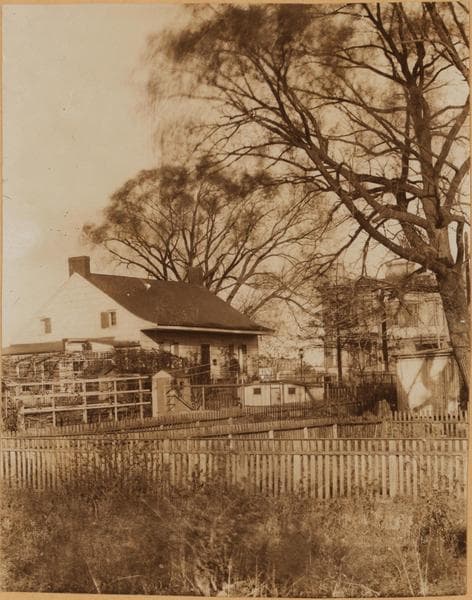Brooklyn: Jerome Street - Dumont Avenue, ca. 1900