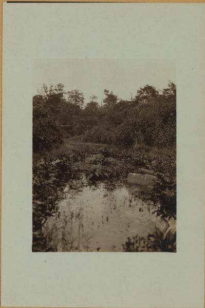 Flagg's pond - Staten Island - [Ernest Flagg property.], 1926