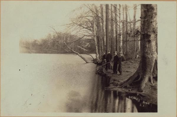 Richmond: [Staten Island] - Clove Lakes Park - Brook's Lake (Pond)., 1905