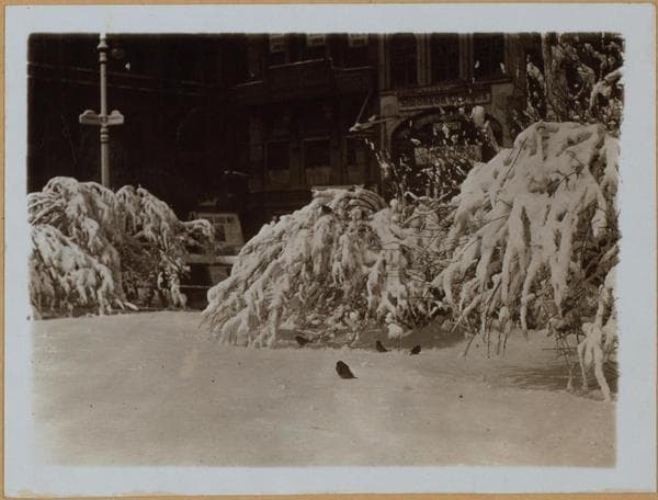 Manhattan: City Hall Park - [Municipal "garden".], 1928