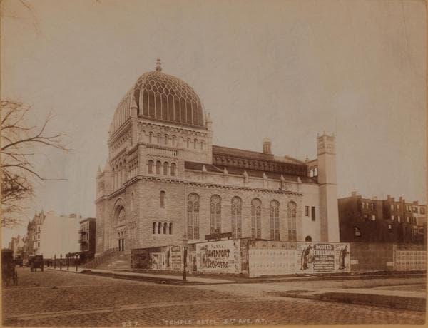 Manhattan: 5th Avenue - 75th Street, 1895