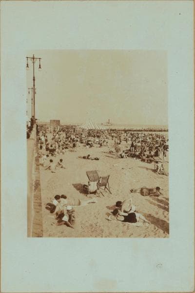 Islands - Coney Island beach - [Sunbathers.], 1932