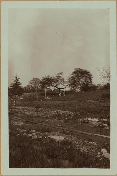 Farming on Staten Island, 1926–1932
