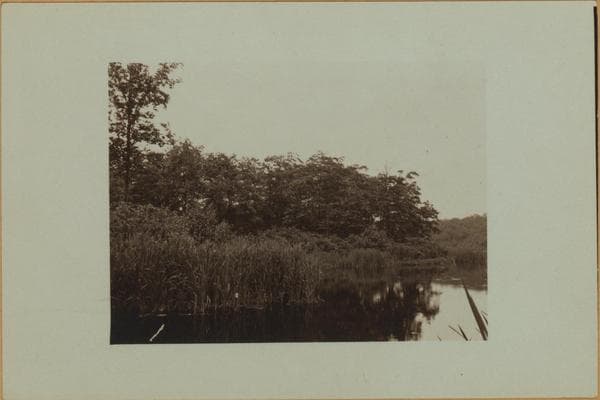 Flagg's pond - Staten Island - [Ernest Flagg property.], 1926