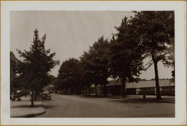 Brooklyn: Clinton Avenue - Greene Avenue