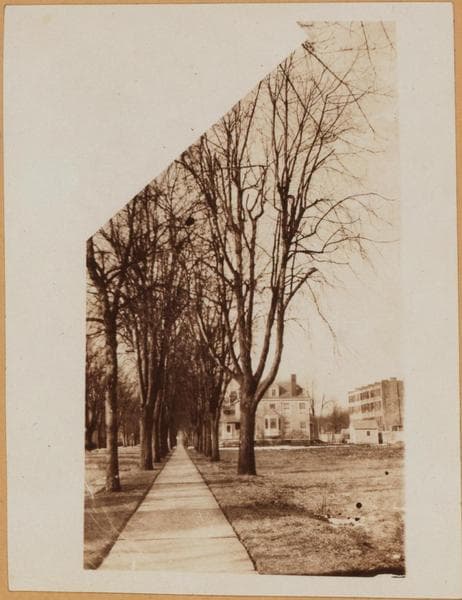 Brooklyn: Fenimore Street - Bedford Avenue, 1914