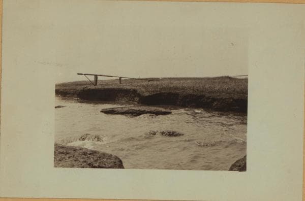 Staten Island - Oakwood Beach - [Salt meadows.], 1926
