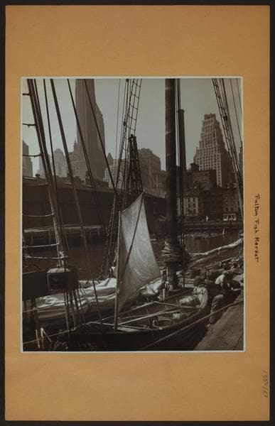 Fulton fish market in Manhattan - [Details of a fishing schooner.]