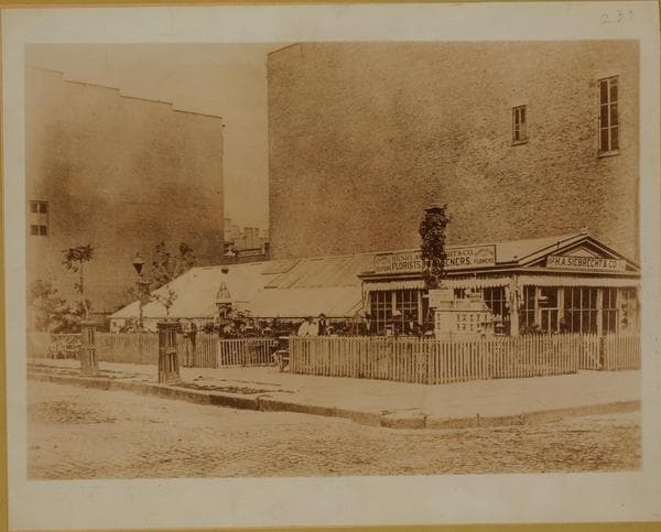 Manhattan: 5th Avenue - 42nd Street, 1875