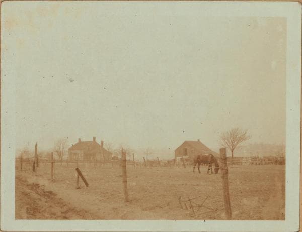 Queens: 55th Drive - 56th Street, 1921–1929
