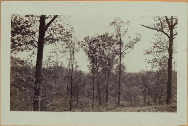 Richmond: Clove Road - Fingerboard Road, 1926