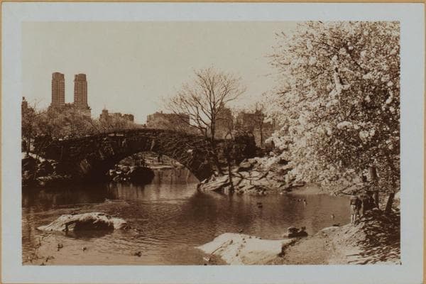 Manhattan: Central Park - The Pond., 1930–1938
