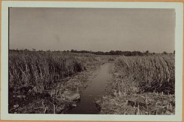 Queens: Flushing Meadow Park - [Roosevelt Avenue - Northern Boulevard.], 1935