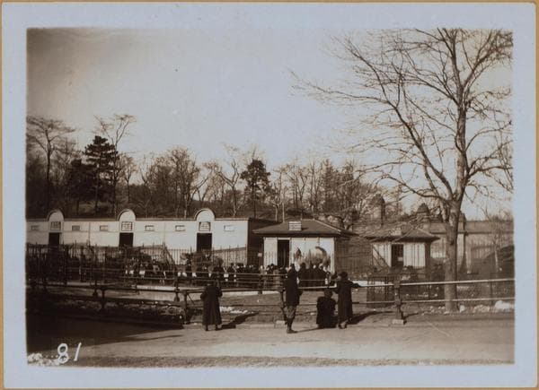 Manhattan: Central Park - [The Menagerie]., 1900
