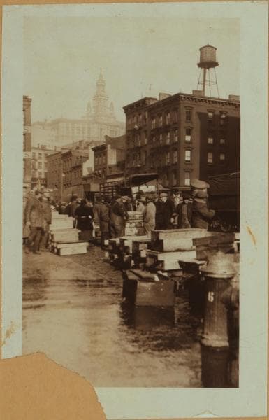 Fulton fish market - [Purchasers examining packaged fish in the middle of Peck Slip.], 1923