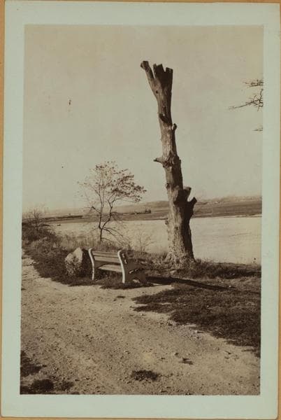Flushing Bay - Queens - [Ditmars Boulevard - Between 24th Avenue and Northern Boulevard.], 1935–1936