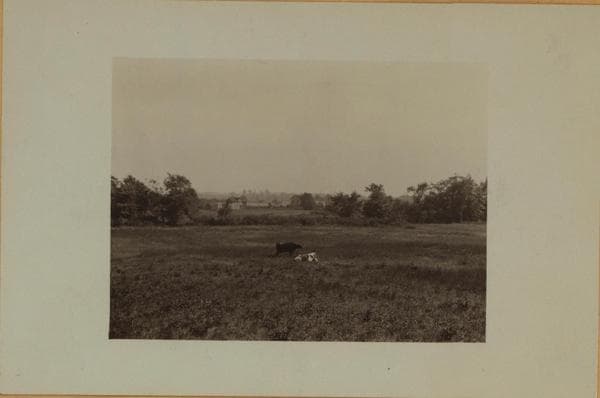 Farming on Staten Island, 1926