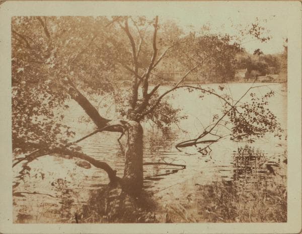 Queens: Buhrman's Lane - St. Mark's Avenue, 1922
