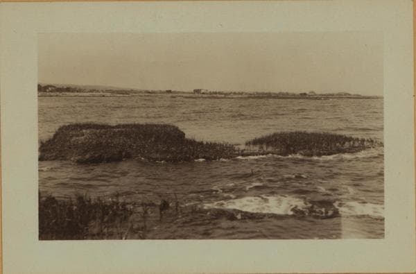 Staten Island - Oakwood Beach - [Salt meadows.], 1925