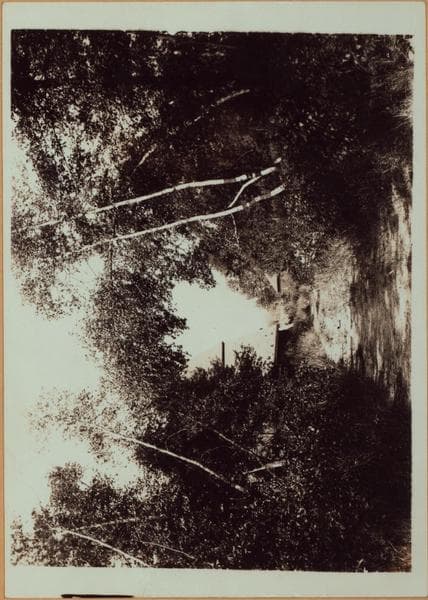 Richmond:] Staten Island - Clove Lakes Park - [View of Lovers' path and Clove Lake, formerly known as Britton's Pond., 1910