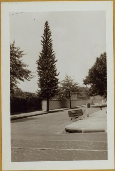 Brooklyn: Waverly Ave. - Greene Ave., 1942