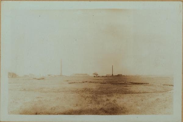 Islands - Barren Island - [Horse disposal plant in Brooklyn.], 1931