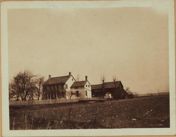 Queens: Woodhaven Blvd - 63rd Avenue, 1923