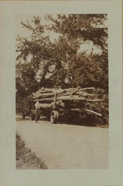 Lumbering on Staten Island., 1924