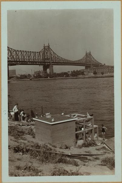 Bridges - Queensboro [Queensborough] Bridge - [View of the bridge from Allen Point.], 1934