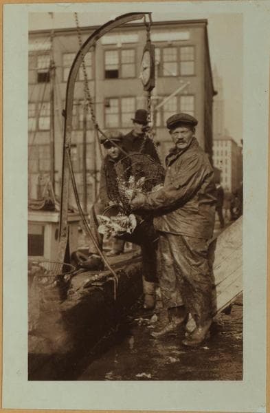 Fulton fish market - [North dock - Unloading and preparing cracked ice for the city's fish supply.], 1923