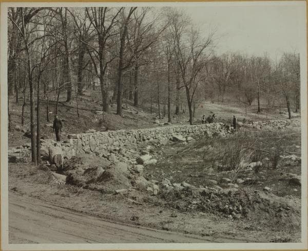 Islands - Hunter Island., 1931