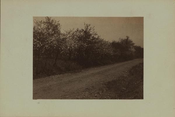 Richmond: Signs Road - Victory Boulevard, 1926