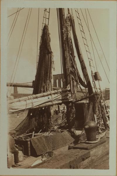Fulton fish market in Manhattan - [Fishing nets being dried on vessels at docks.], 1933