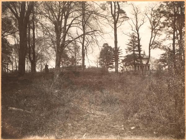 Bronx: 156th Street (East) - Beck Street, 1915