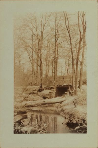 Betty Holmes' Brook - Staten Island [Richmond - Arthur Kill Road.]