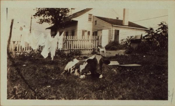 Queens: Flushing Avenue - Seneca Avenue, 1922–1929