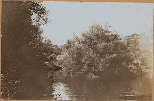 Manhattan: Central Park - The Pond., 1909