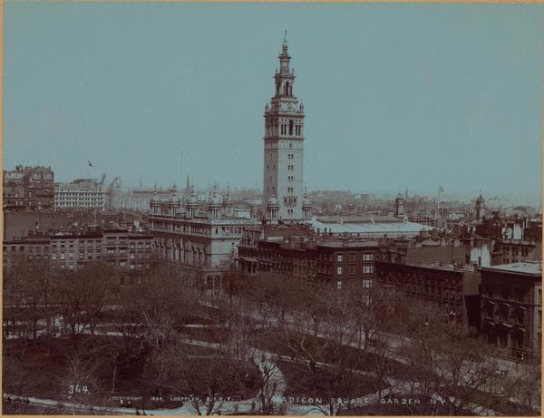 Manhattan: Madison Avenue - 24th Street, 1900