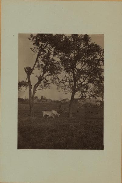 Farming on Staten Island, 1924–1927