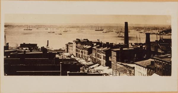 Brooklyn: State Street - Henry Street, 1860