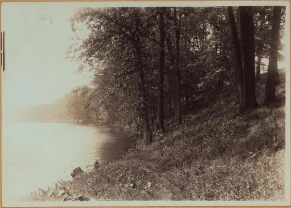 Richmond:] Staten Island - Clove Lakes Park - Clove Lake., 1910