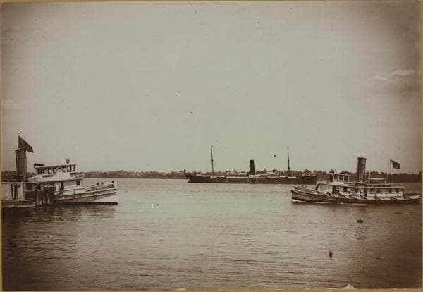 Islands - Hoffman Island - [S.S. Perugia held in quarantine.]