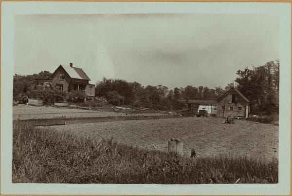 Richmond: Willowbrook Road - Collfield Avenue, 1929–1932