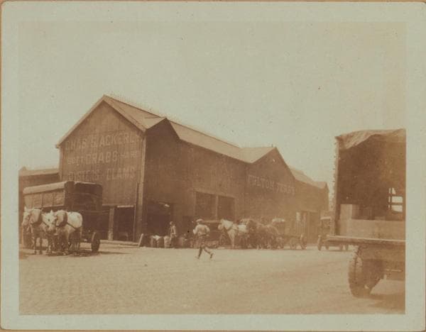 Manhattan: South Street - Fulton Street, 1924