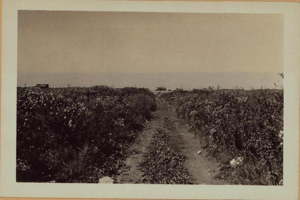 Queens: Flushing Meadow Park - [Between Grand Central Parkway and Willets Point Boulevard.], 1935
