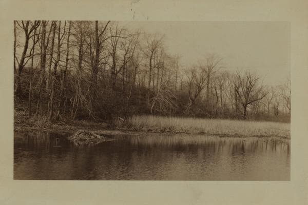 Seguine's Pond - Staten Island [Richmond - Amboy Road - Annadale Road.], 1925
