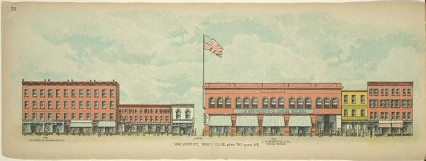 Broadway, West Side. 48th to 50th St., 1899