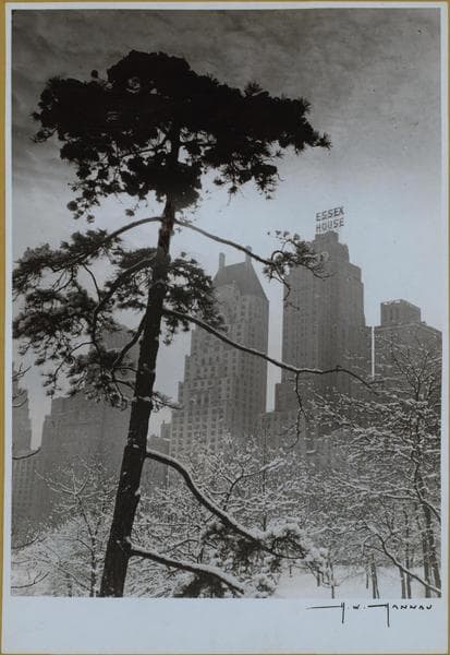 Manhattan: Central Park.
