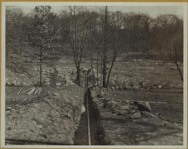 Islands - Hunter Island., 1931